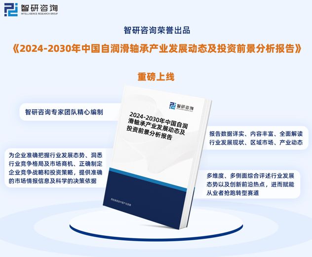 2024年中国自润滑轴承行业市场投资前景分析报告—智研咨询(图1)