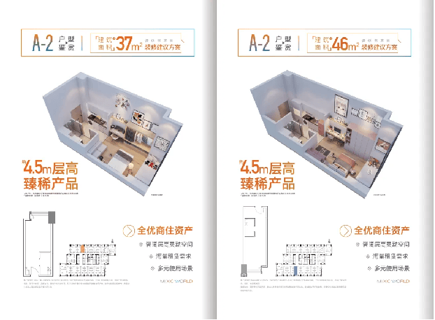 稳健投资风向主城爆款潮流公寓掀起热卖风暴(图12)